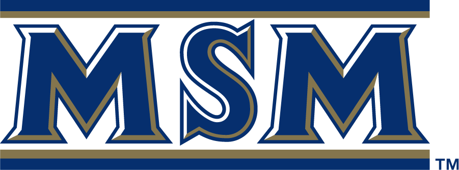 Mount St. Marys Mountaineers 2006-2016 Secondary Logo iron on transfers for T-shirts